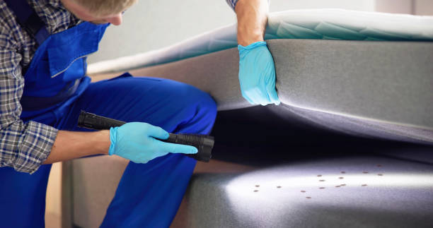 Best Emergency Pest Control  in West Allis, WI