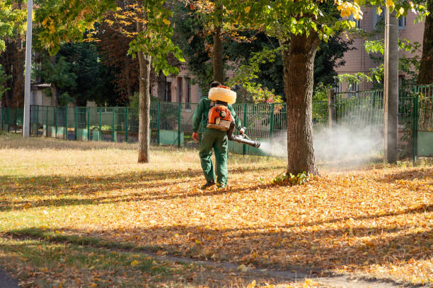 Best Insect Control  in West Allis, WI