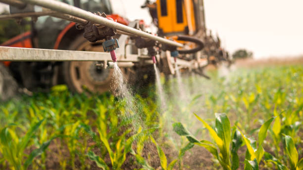 Best Pest Control for Homes  in West Allis, WI