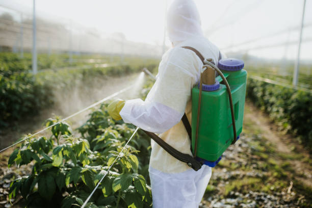 Best Pest Prevention Services  in West Allis, WI